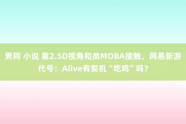男同 小说 靠2.5D视角和类MOBA接触，网易新游代号：Alive有契机“吃鸡”吗？