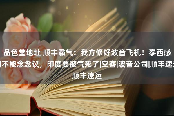 品色堂地址 顺丰霸气：我方修好波音飞机！泰西感到不能念念议，印度要被气死了|空客|波音公司|顺丰速运