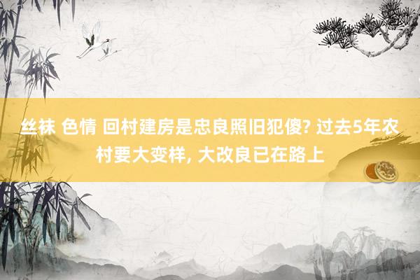 丝袜 色情 回村建房是忠良照旧犯傻? 过去5年农村要大变样， 大改良已在路上
